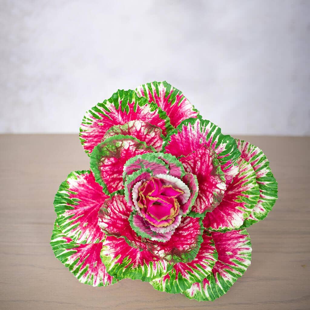 Crimson Cabbage Decor Leather Gallery