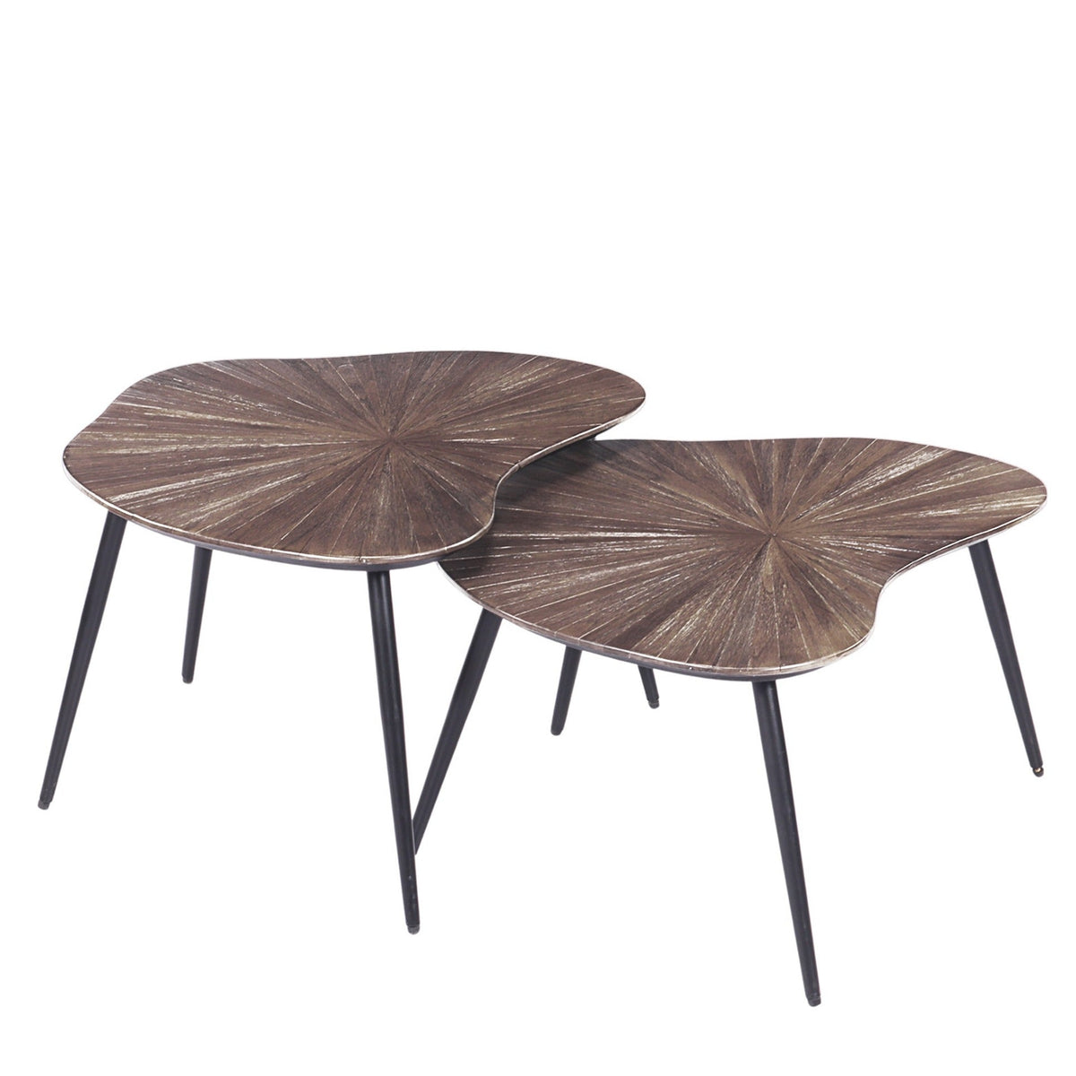 Gallery Everyday Eden Nesting Coffee Tables Set of 2, featuring organic-shaped dark wood tops with sunburst grain and black metal legs.