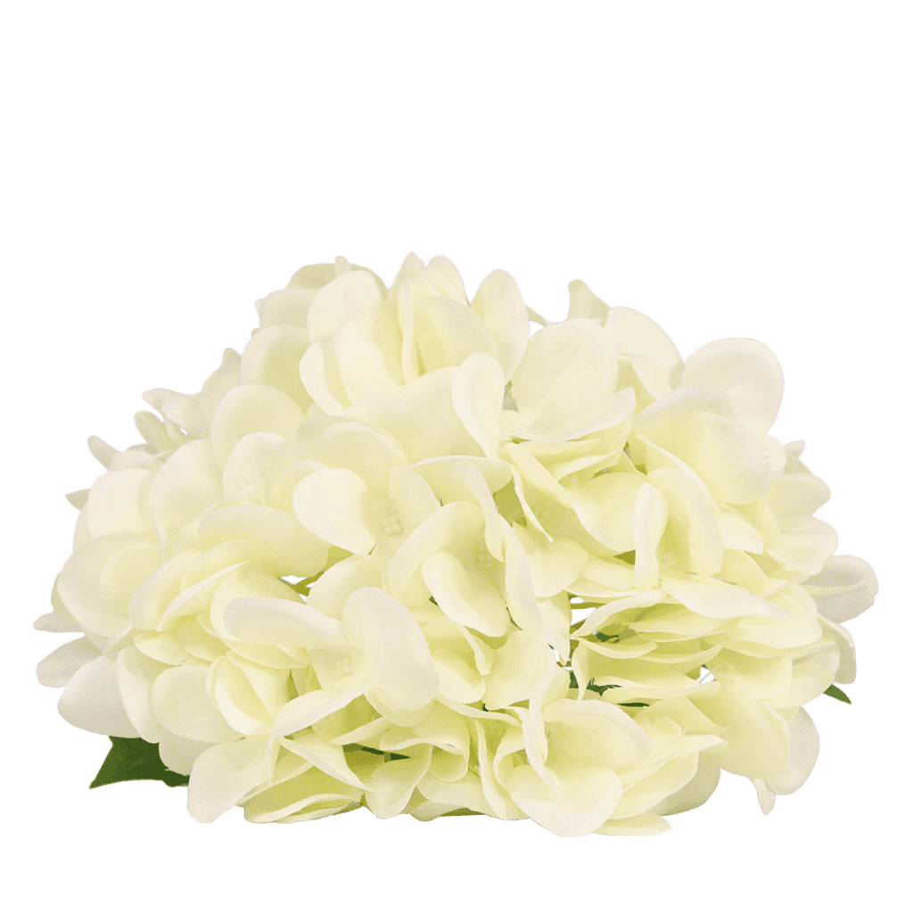 Eggshell Stemmed Hydrangea Decor Leather Gallery 