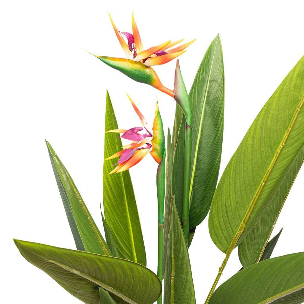 Faux Birds of Paradise Decor Leather Gallery 