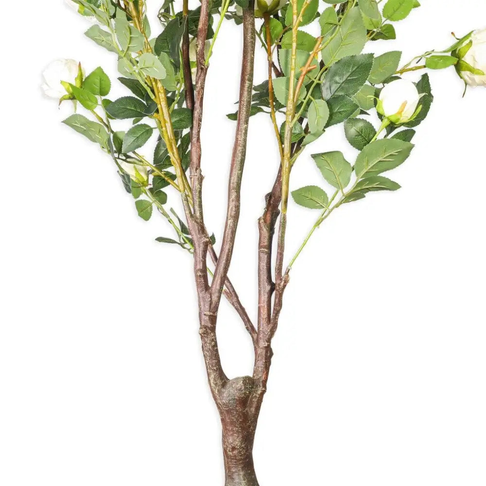 Faux Cabbage White Rose Tree - 175cm - Decor