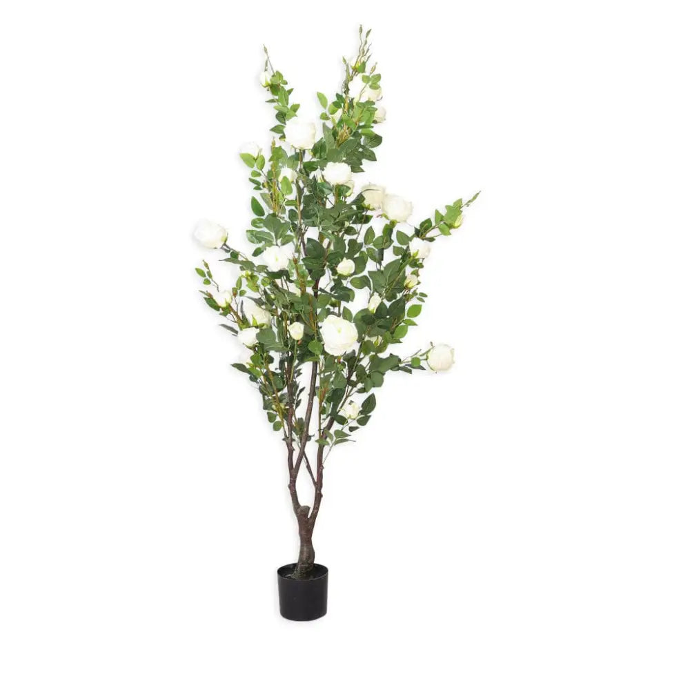 Faux Cabbage White Rose Tree - 175cm - Decor