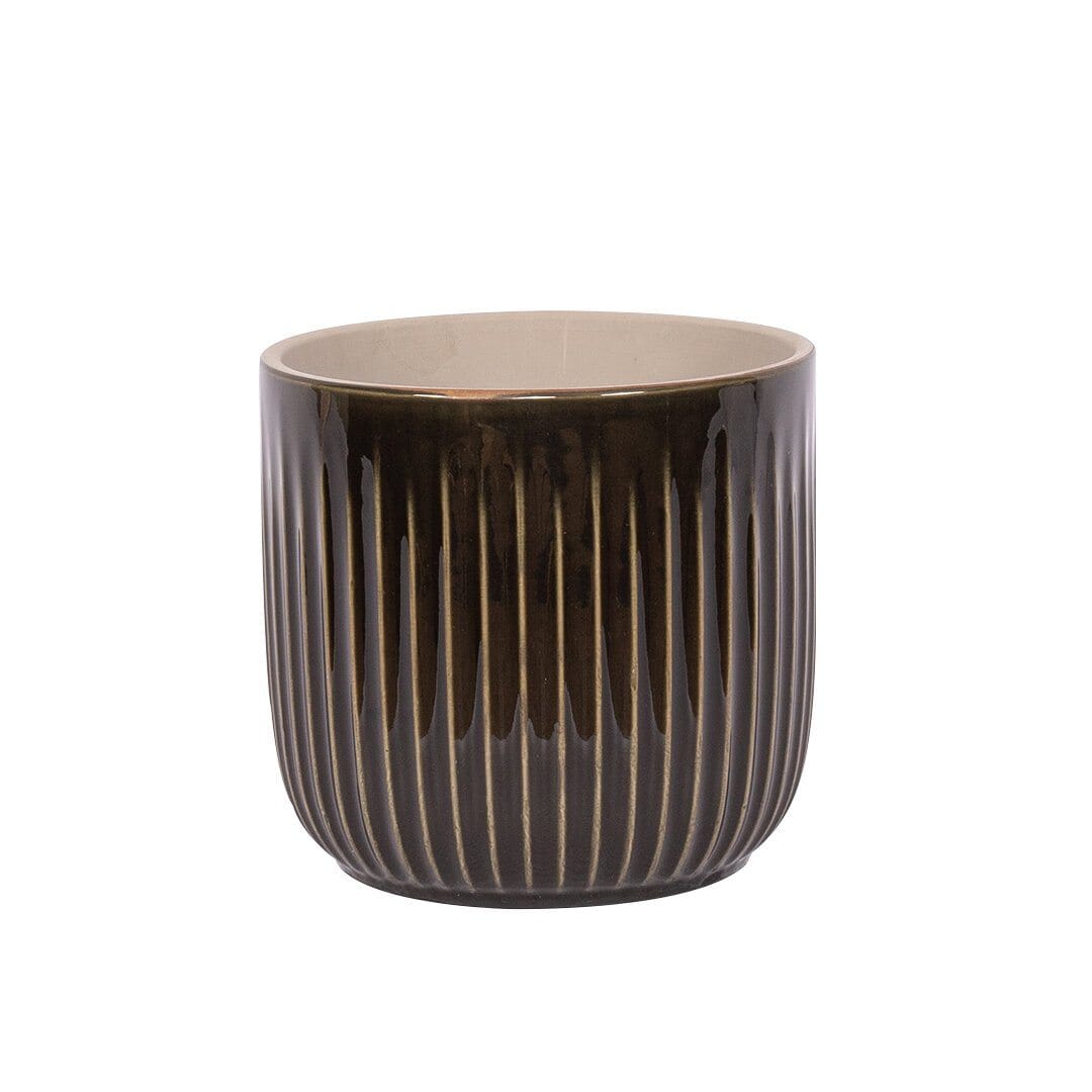 Faux Cycad Plant & Burrows Planter Decor Leather Gallery 