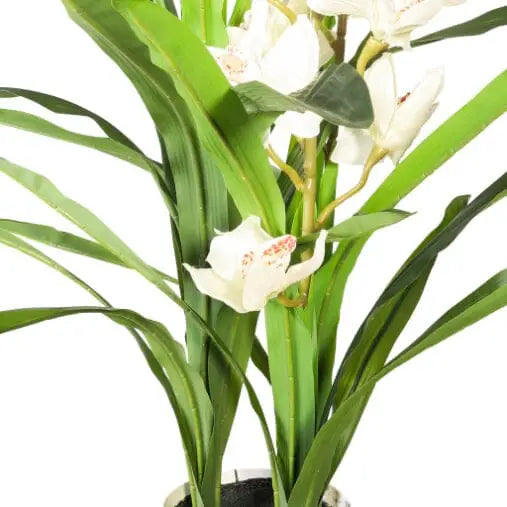Faux Cymbidium Orchid Plant White - 105cm - Decor
