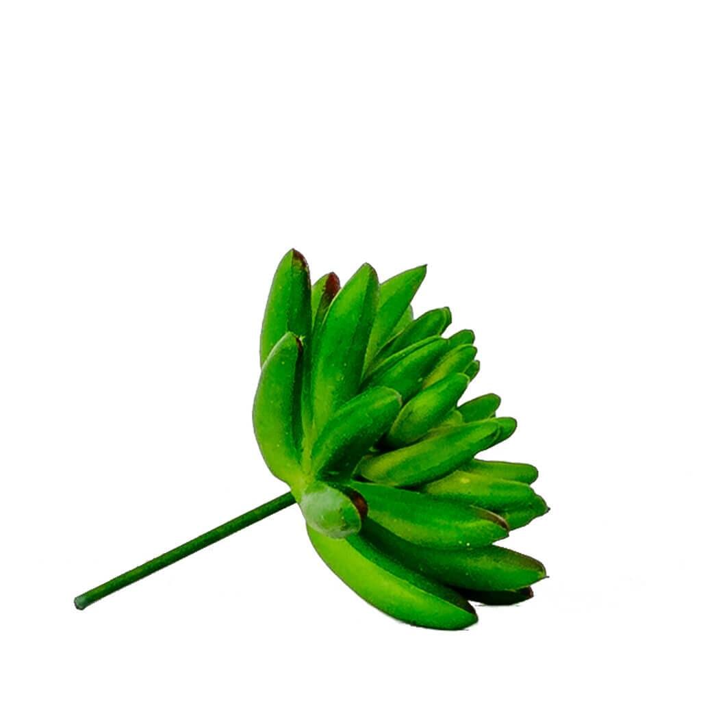 Faux Mama Africa Decor Leather Gallery 