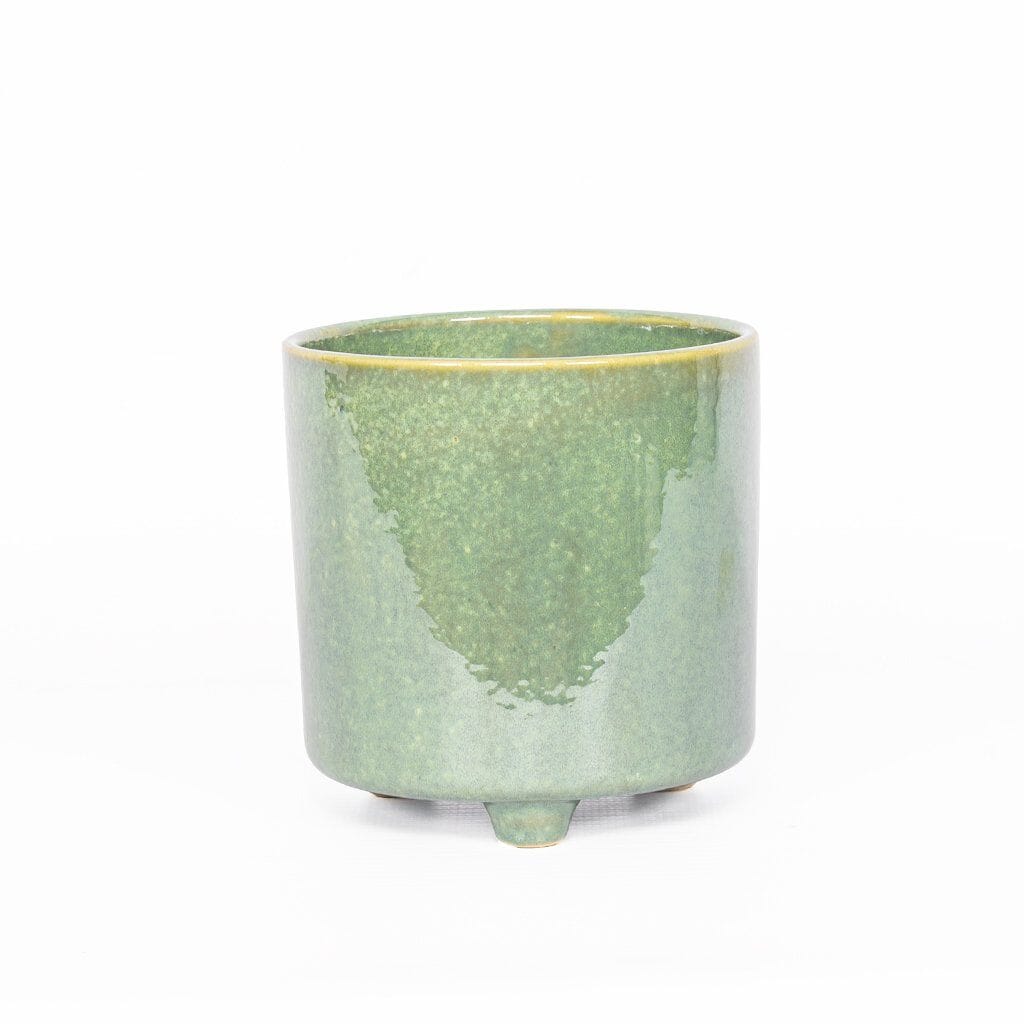 Faux Mini Fiddle Leaf Fig Tree In Kinsley Planter Decor Leather Gallery 