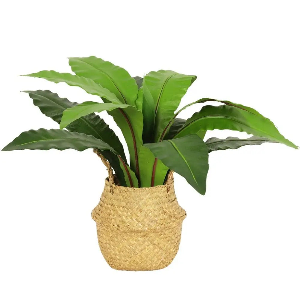 Faux Neottopteris Straw Basket - 65cm - Decor