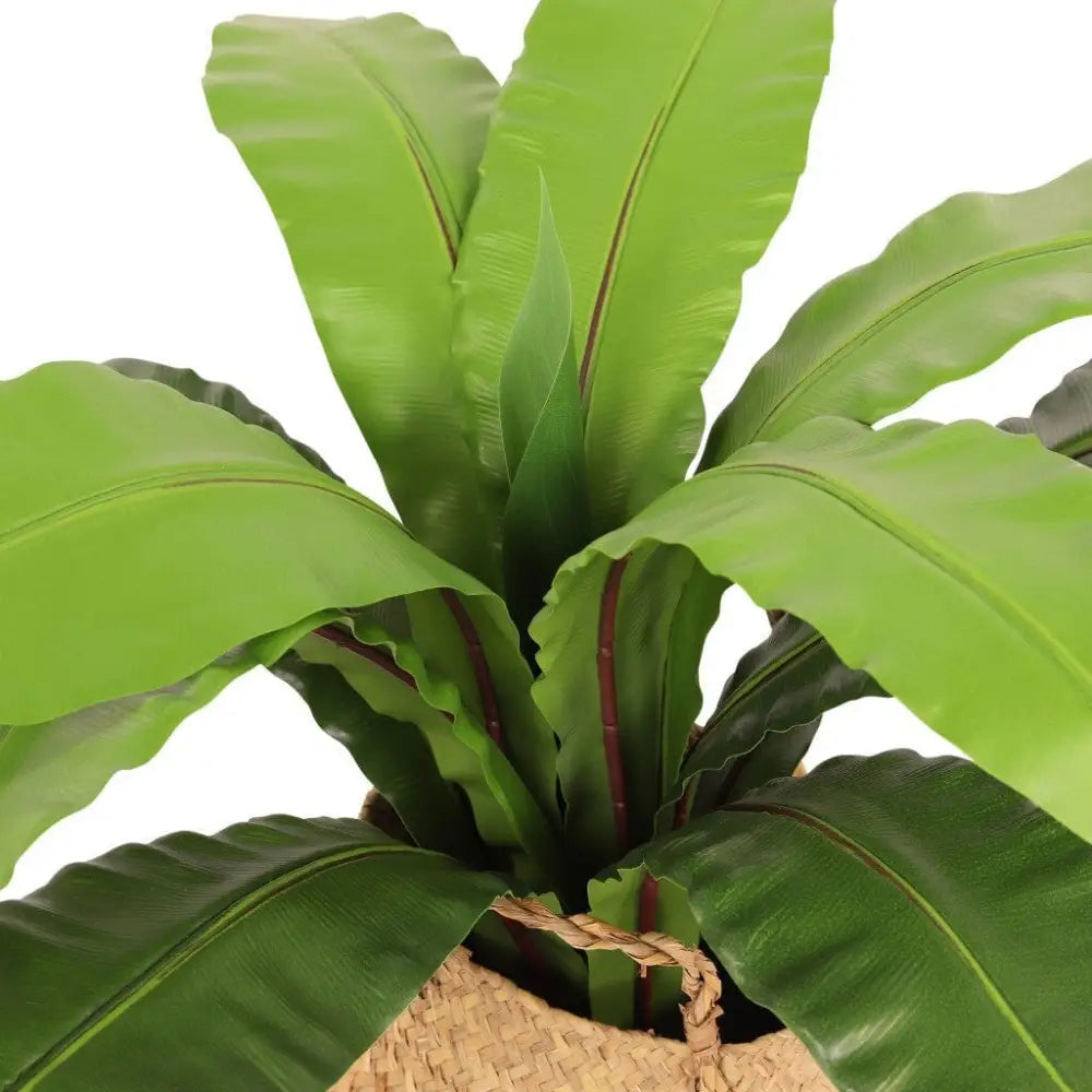 Faux Neottopteris Straw Basket - 65cm - Decor