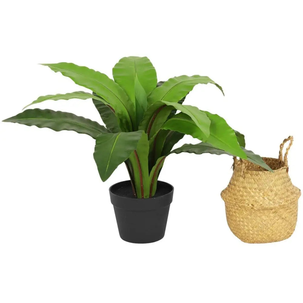 Faux Neottopteris Straw Basket - 65cm - Decor