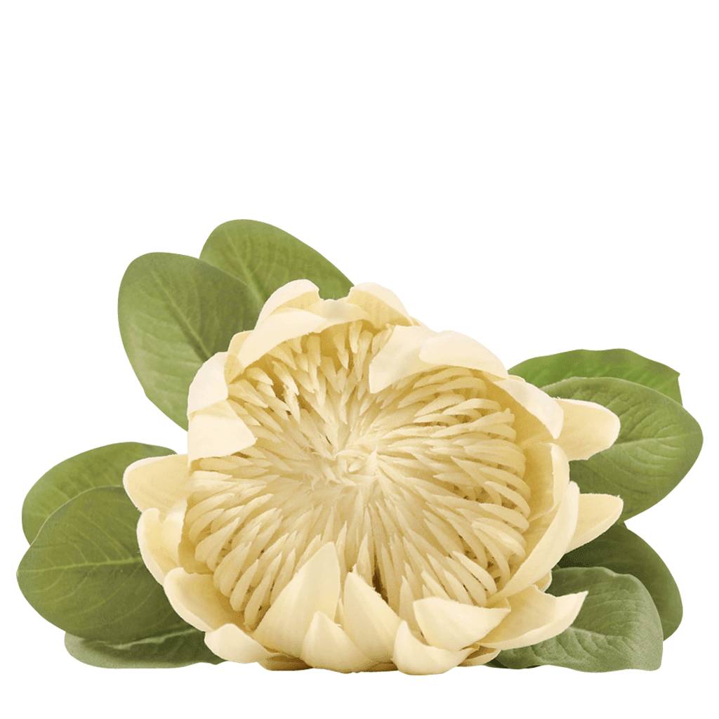 Faux Opalescent Stemmed Protea Decor Leather Gallery