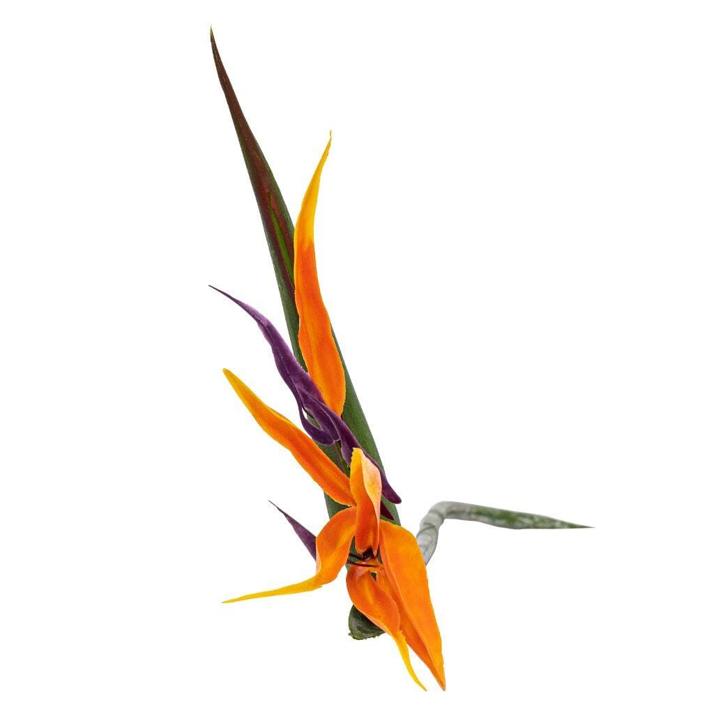 Faux Bird Of Paradise Decor Leather Gallery