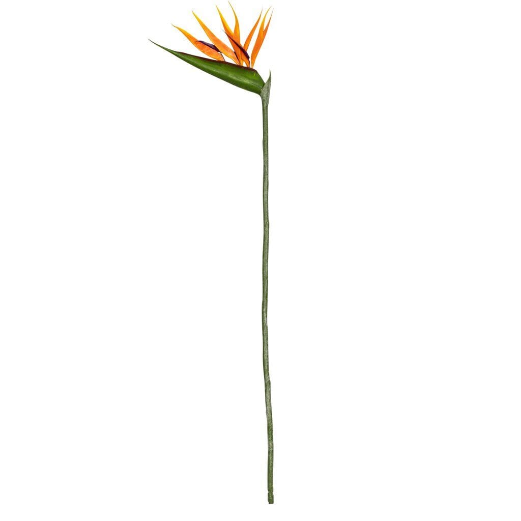Faux Bird Of Paradise Decor Leather Gallery