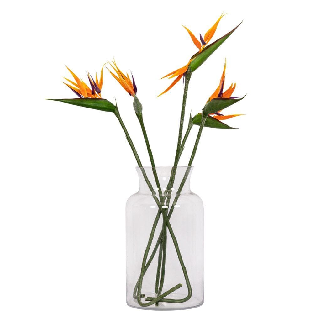 Faux Bird Of Paradise Decor Leather Gallery