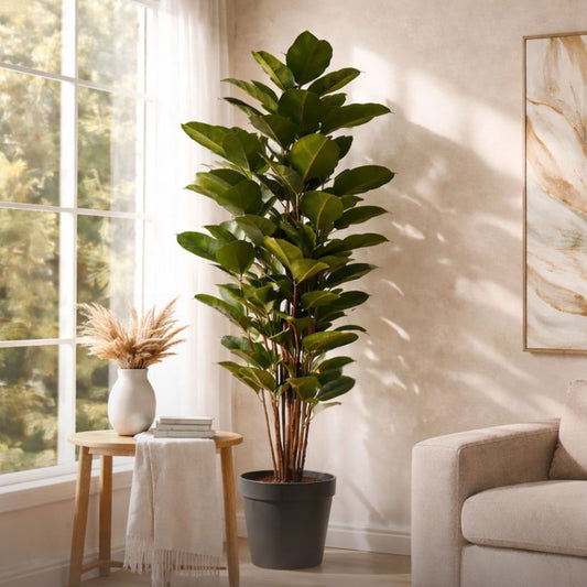 Faux Rubber Plant - Large Decor Leather Gallery Black 175cm
