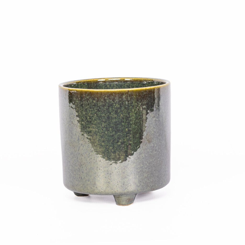 Faux Potted Fern Decor Leather Gallery 