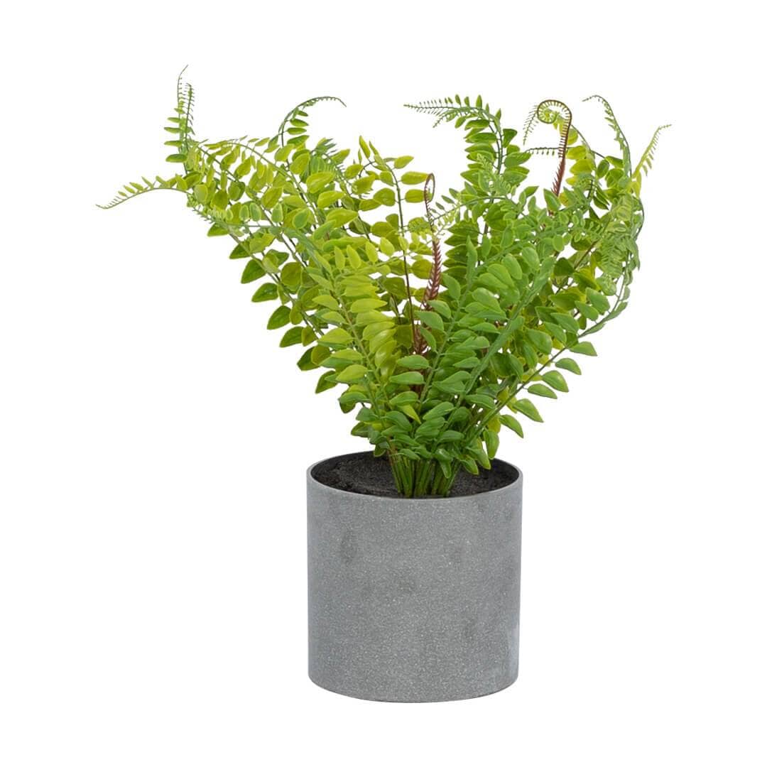 Faux Potted Fern Plant - Medium Decor Leather Gallery Black Pot 14 x W 70 x H 40cm
