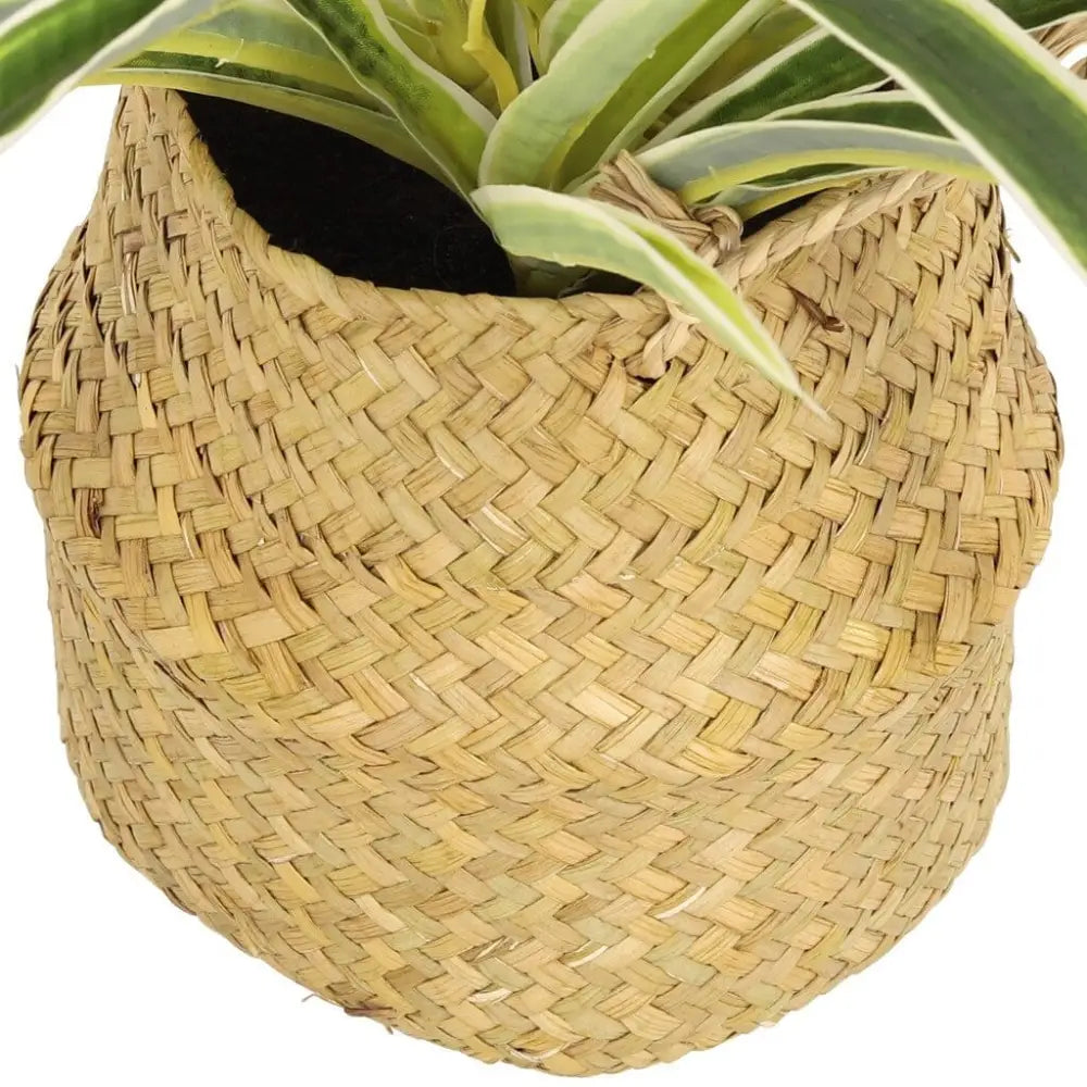 Faux Seagrass Plant in Rattan - 33cm - Decor
