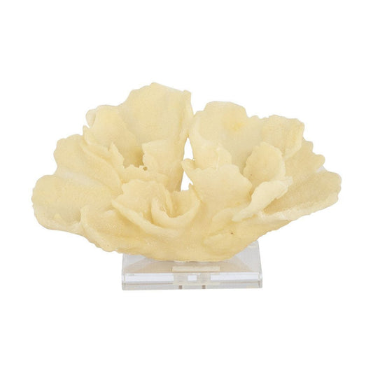 Faux Stony Coral Ornament Ornament Leather Gallery