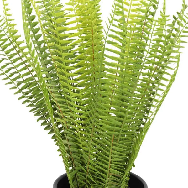 Faux Sword Fern in Ceramic Pot - 62cm - Decor - Leather Gallery