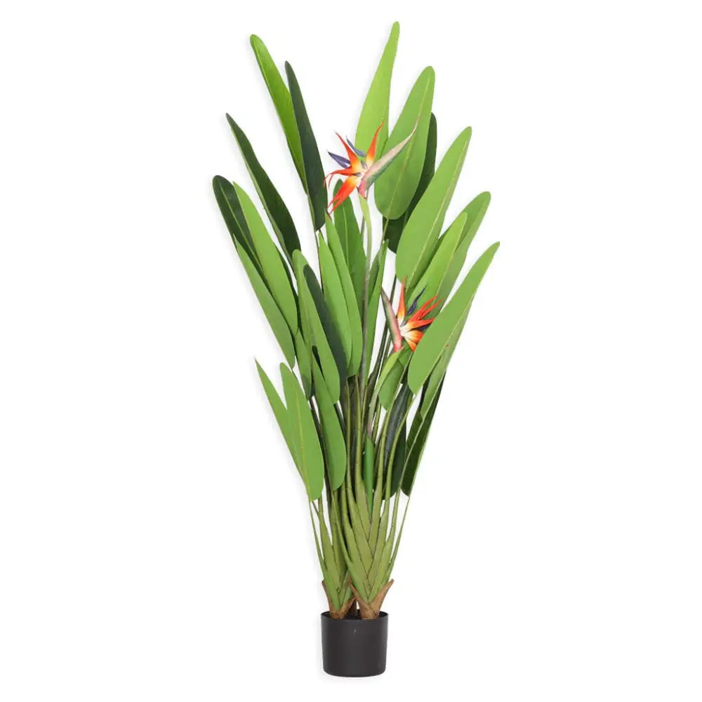 Faux Tropical Birds of Paradise Strelitzia Plant - 160cm - Decor