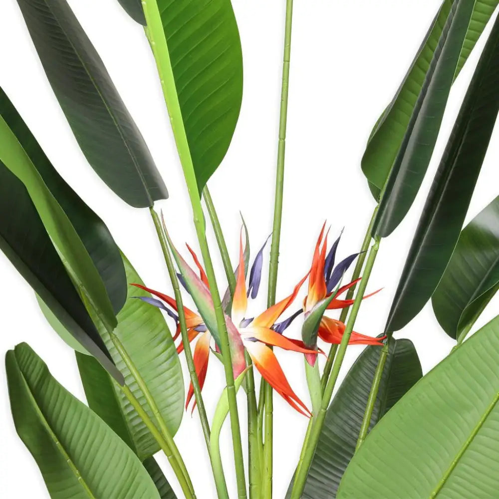 Faux Tropical Birds of Paradise Strelitzia Plant - 210cm - Decor