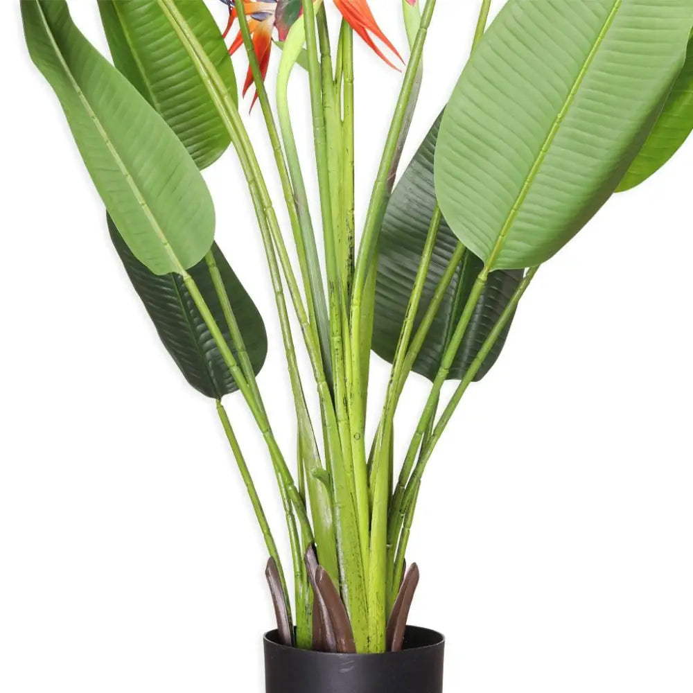 Faux Tropical Birds of Paradise Strelitzia Plant - 210cm - Decor