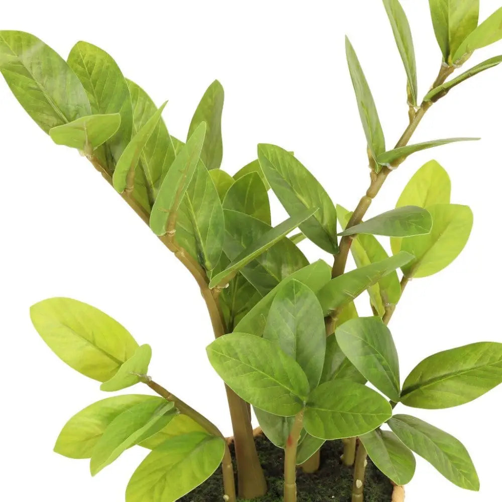 Faux Zamiifolia in Straw Basket - 45cm - Decor