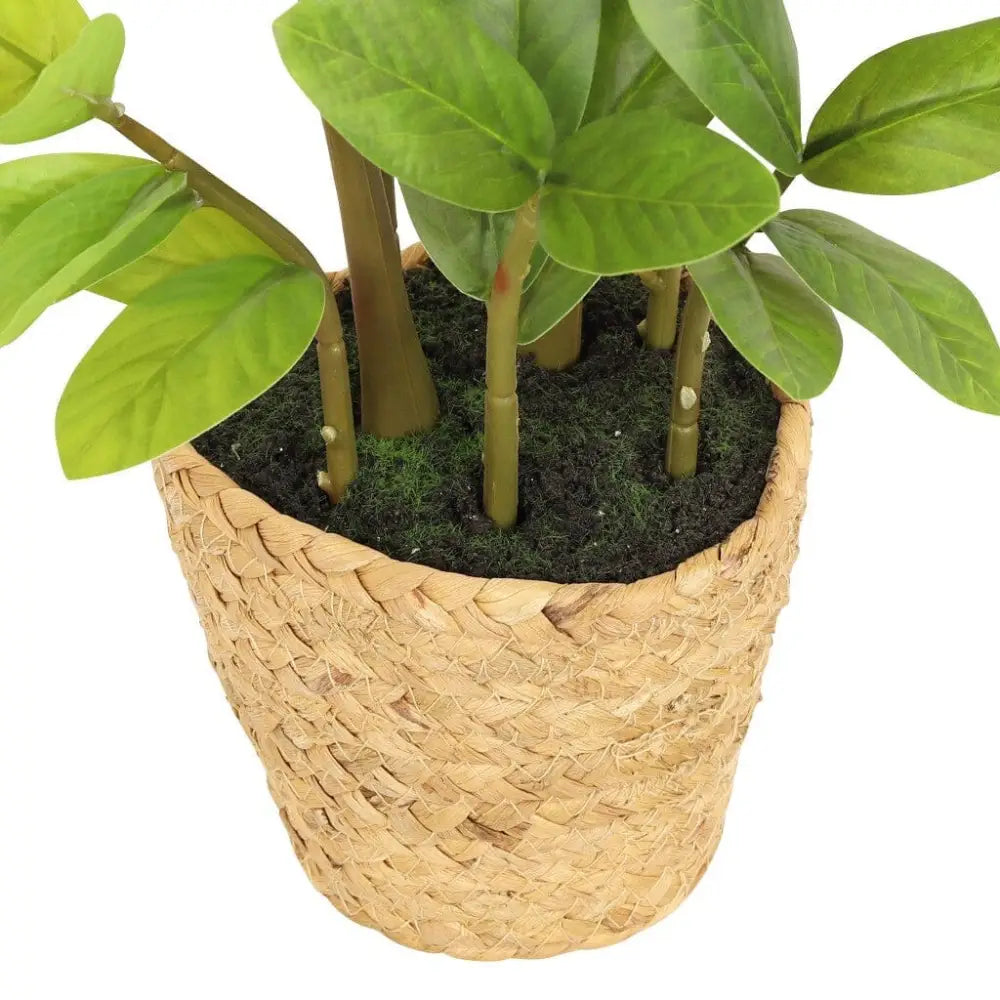 Faux Zamiifolia in Straw Basket - 45cm - Decor