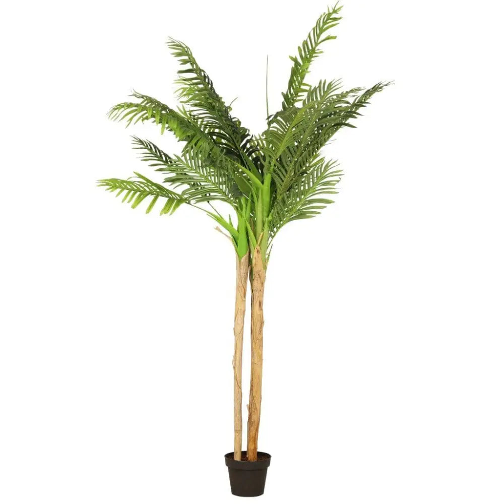 Fern Tree in Pot - 190cm - Decor