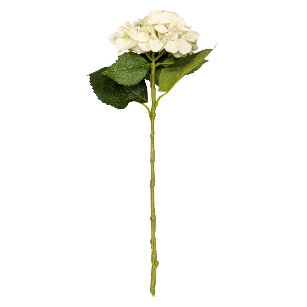 Hydrangea Creampuff - 50cm Decor Leather Gallery