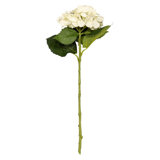 Hydrangea Creampuff - 50cm Decor Leather Gallery