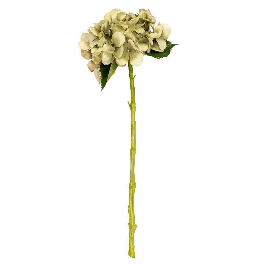 Hydrangea Glorious - 50cm Decor Leather Gallery
