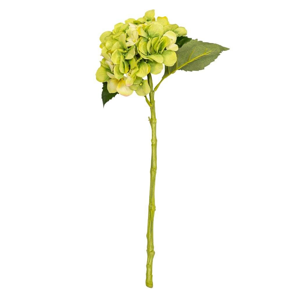 Hydrangea Greenshade - 50cm Decor Leather Gallery