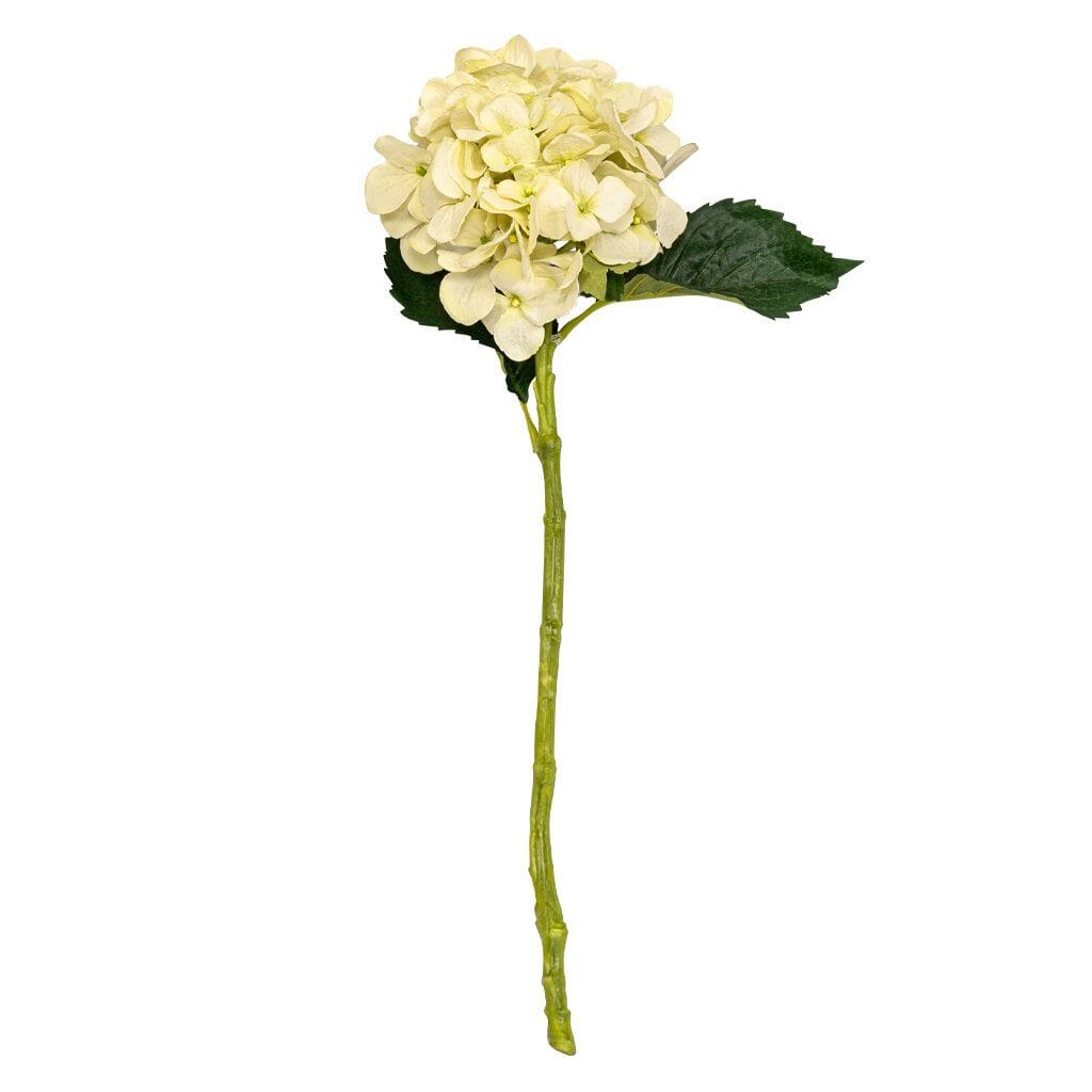 Hydrangea Pretty Soft - 50cm Decor Leather Gallery