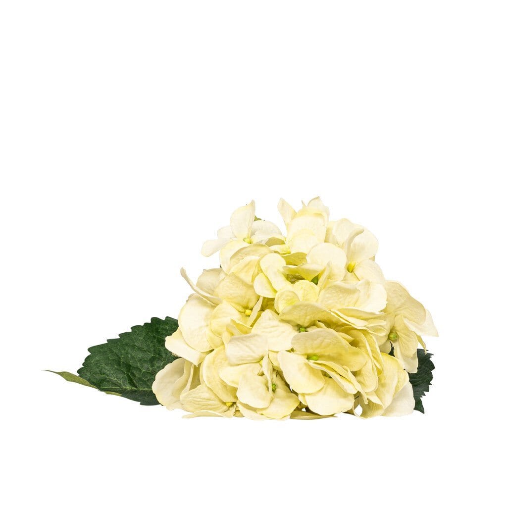 Hydrangea Pretty Soft - 50cm Decor Leather Gallery