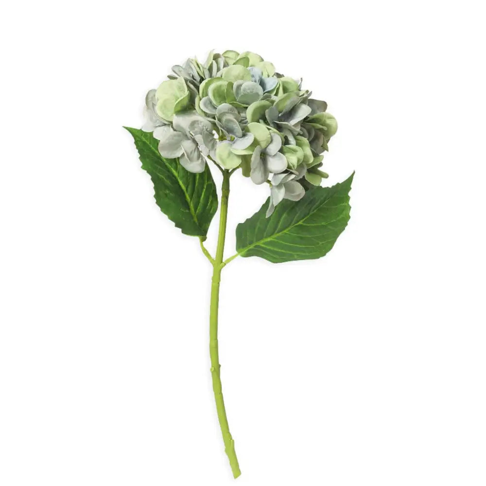 Hydrangea Renoir - 50cm - Decor