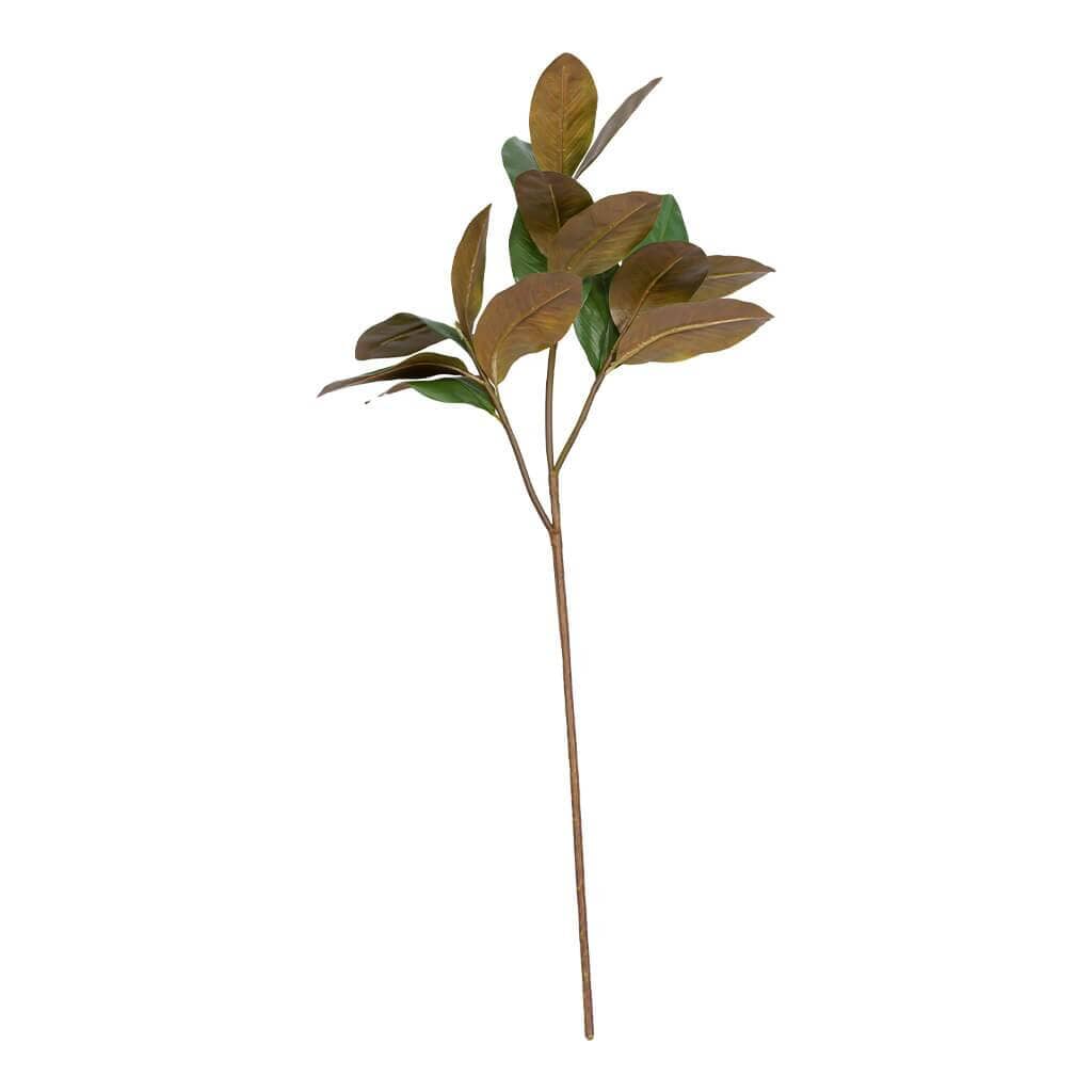 Magnolia Stem Leafspray Decor Leather Gallery