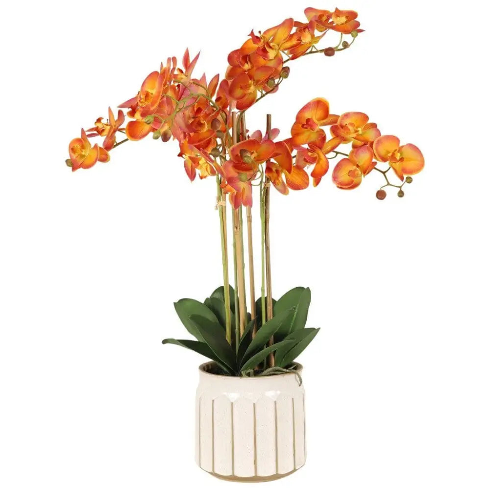 Orange Orchid in Pot - 74cm - Pot: (18 x 18 x 19 cm) - Decor
