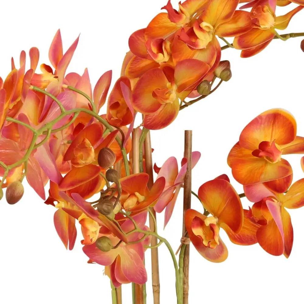 Orange Orchid in Pot - 74cm - Decor