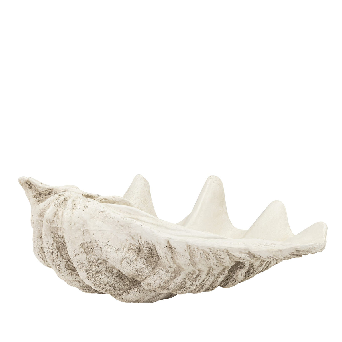 Pacific Shell Natural - Ornament