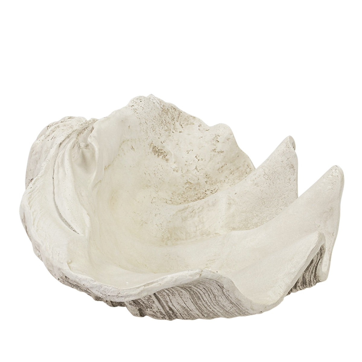 Pacific Shell Natural - Ornament