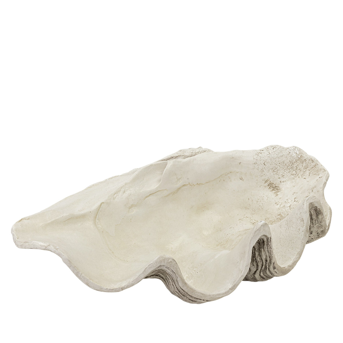 Pacific Shell Natural - Ornament