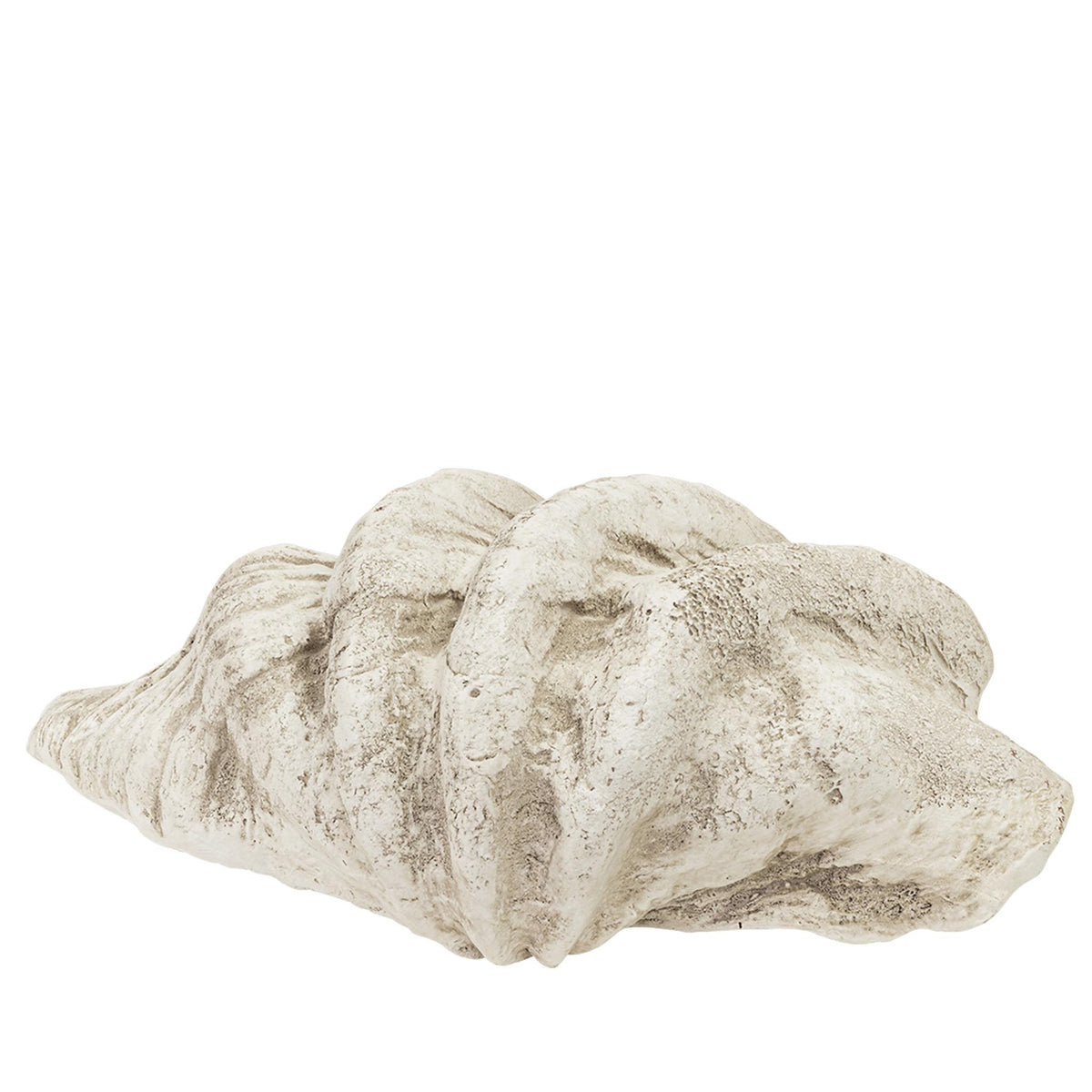 Pacific Shell Natural - Ornament