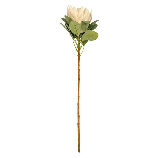Protea Stem - Pearl Pink Decor Leather Gallery