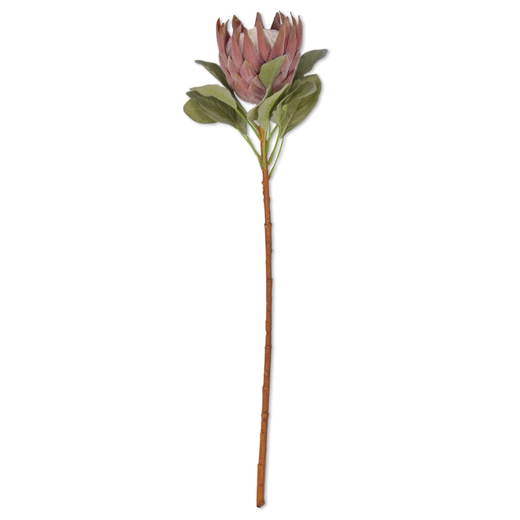Protea Stem Red Decor Leather Gallery