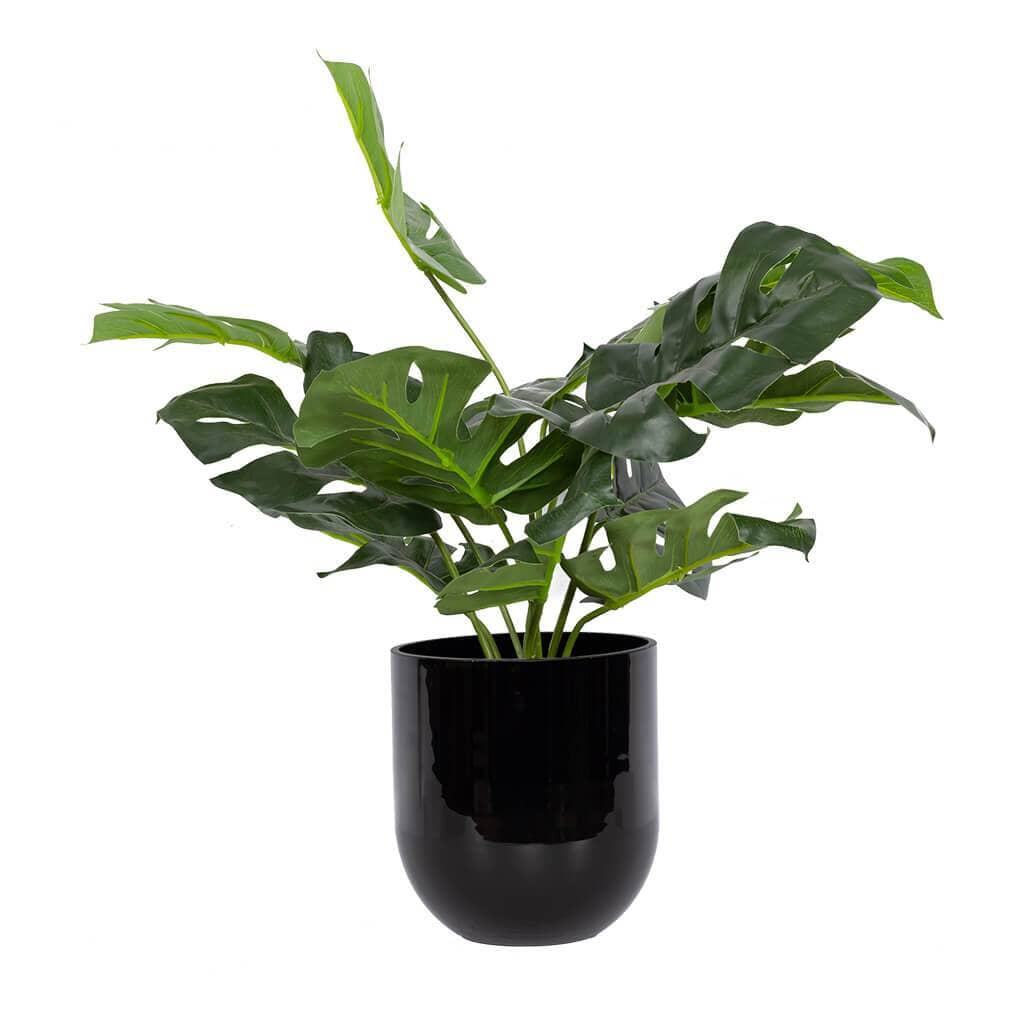 Rory Bowl/Planter Decor Leather Gallery