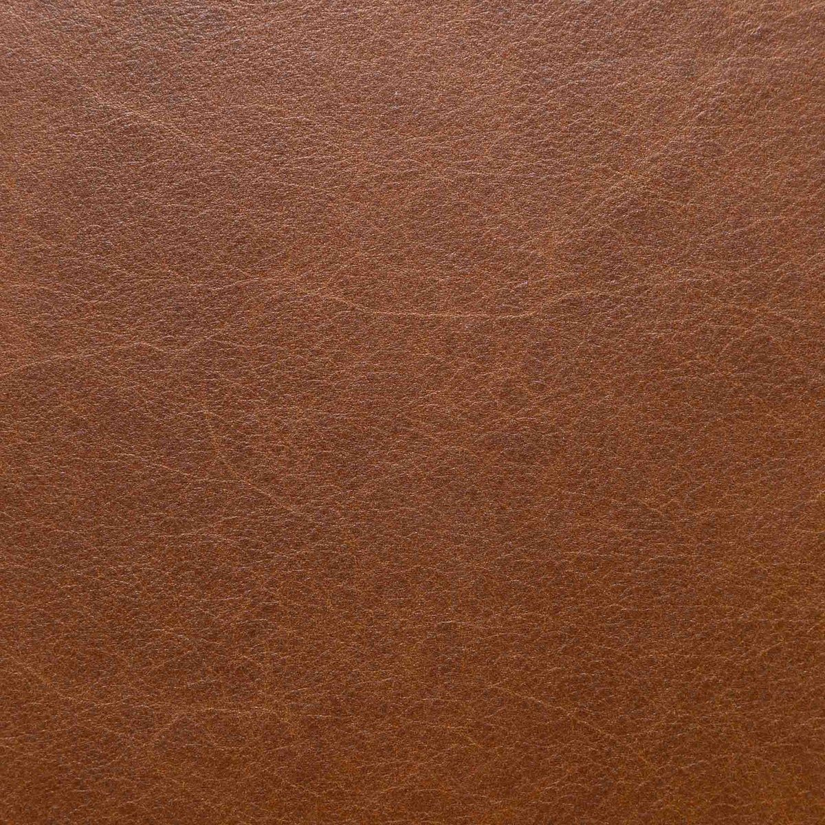 Stanford 2 Seater Leather Sofa Leather Gallery Czar Pecan