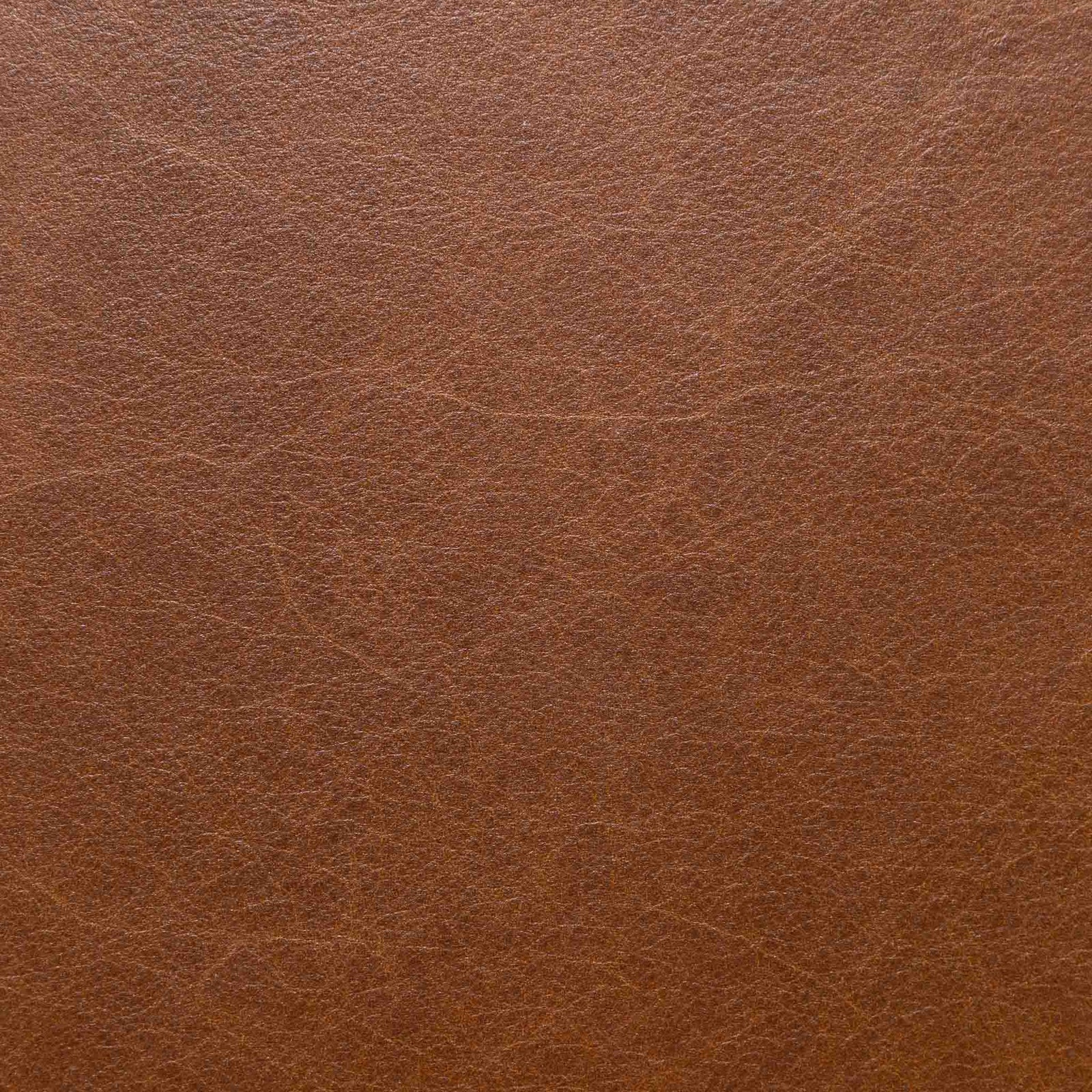 Stanford 2 Seater Leather Sofa Leather Gallery Czar Pecan