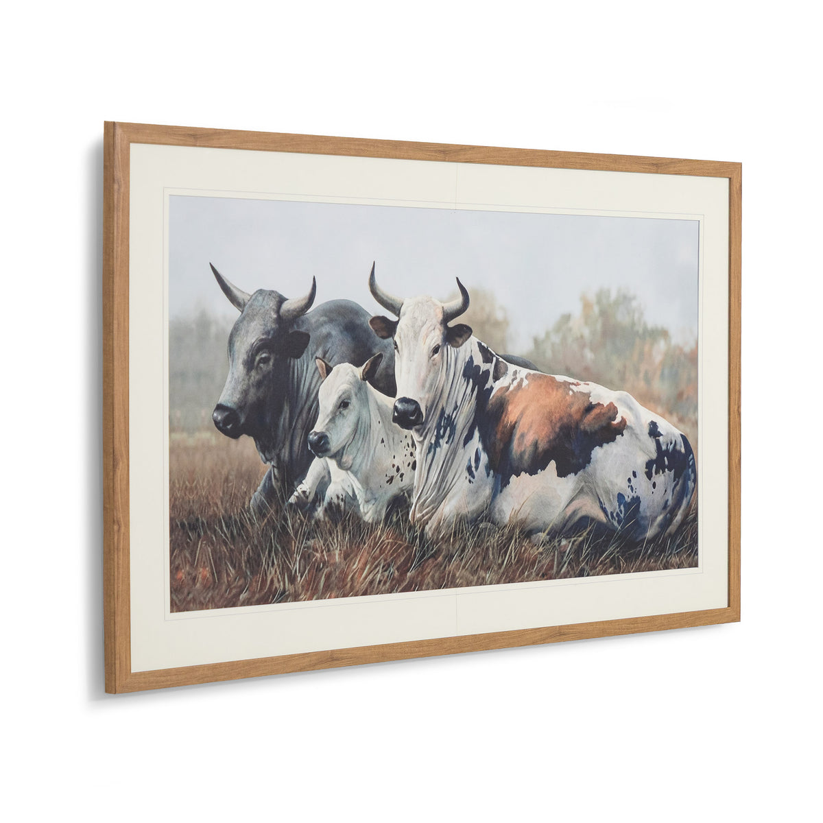 Ormsby Pastures - Kia Framed Print by Leather Gallery featuring three Nguni cattle resting in a grassland, with an elegant Kia frame and decorative mount.