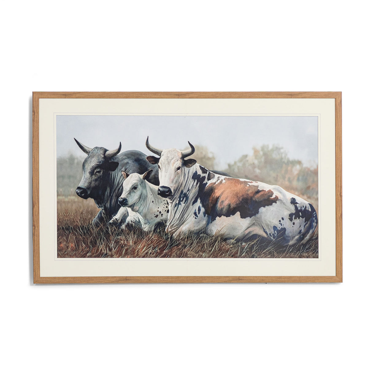 Ormsby Pastures - Kia Framed Print by Leather Gallery featuring three Nguni cattle resting in a grassland, with an elegant Kia frame and decorative mount.